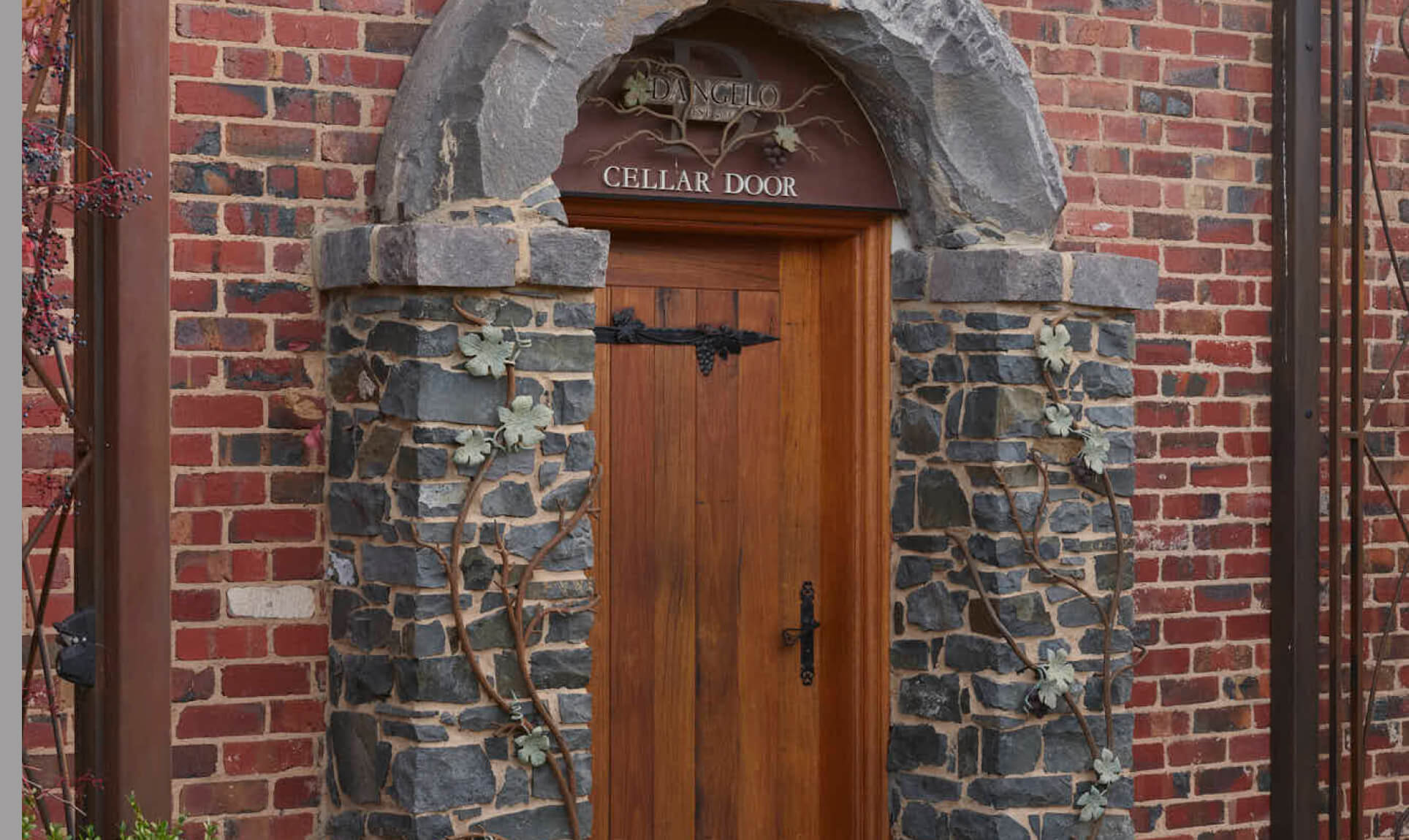 D’Angelo Estate Vineyard