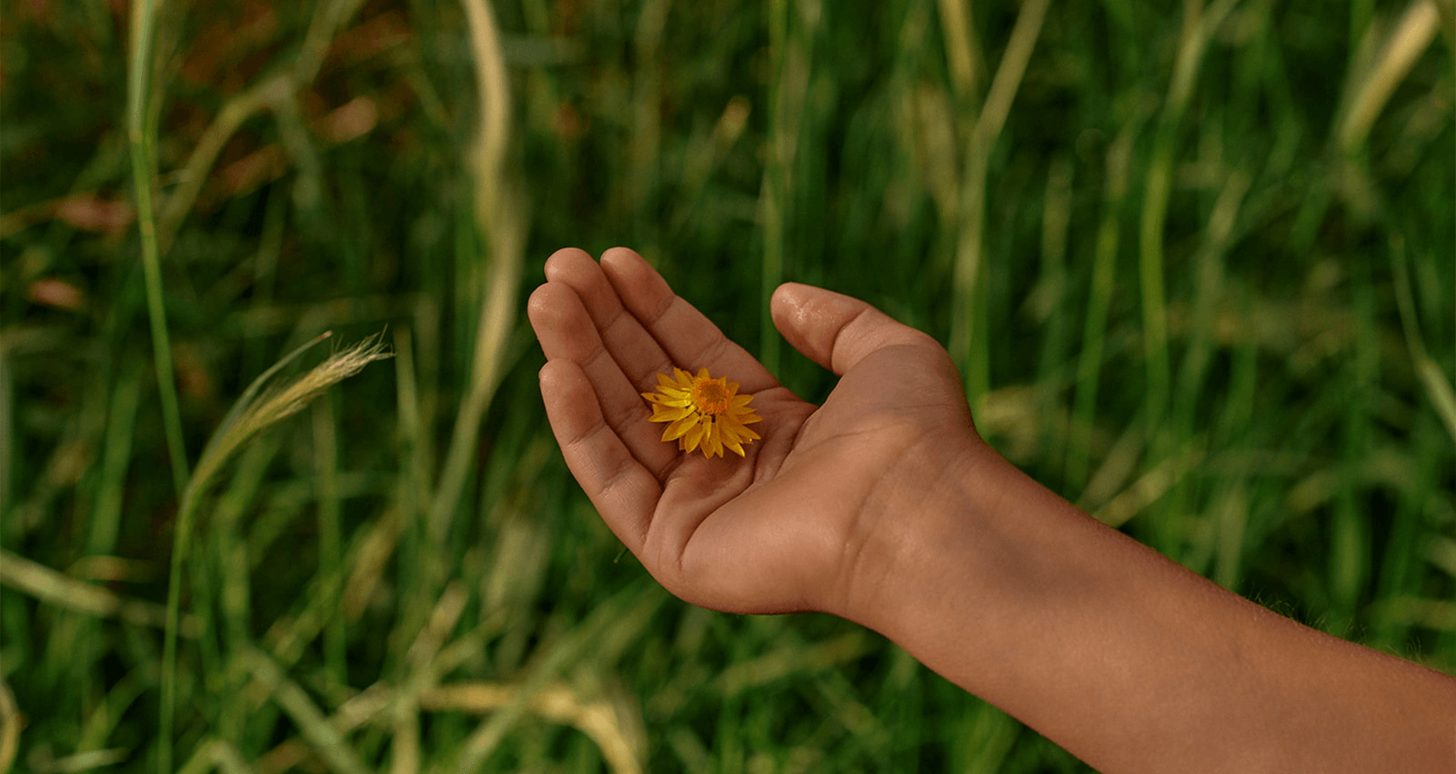 Moremac Adds to South East Portfolio